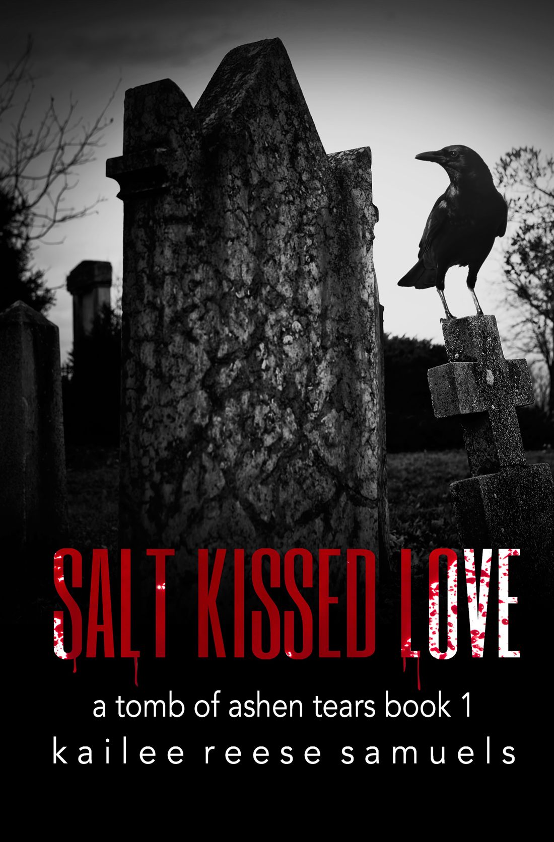 Salt Kissed Love book cover by Kailee Reese Samuels