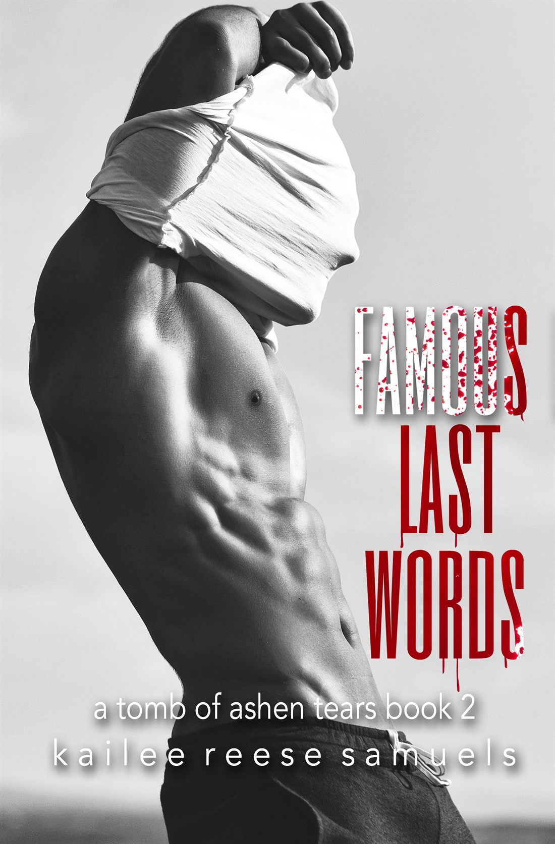 Famous Last Words book cover by Kailee Reese Samuels